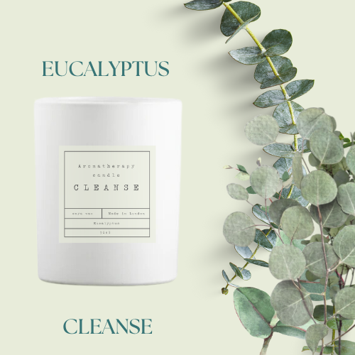 SOS Aromatherapy Candles - Eucalyptus - Cleanse